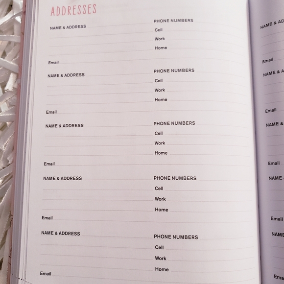 🆕️ NEW 18-Month Smarty Cats🐈 2020-2021 Planner - Picture 10 of 16